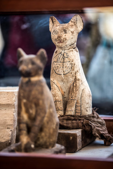 Власти Египта представили экспозицию мумифицированных животных, найденных в некрополе Саккара. Фото AFP