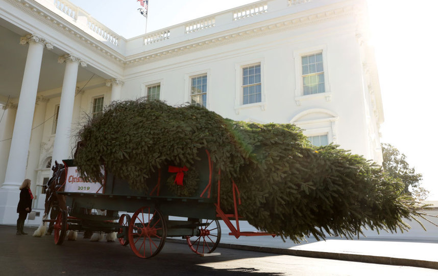 Традиция устанавливать в Белом доме елку идет с 1966 года. Фото Getty
