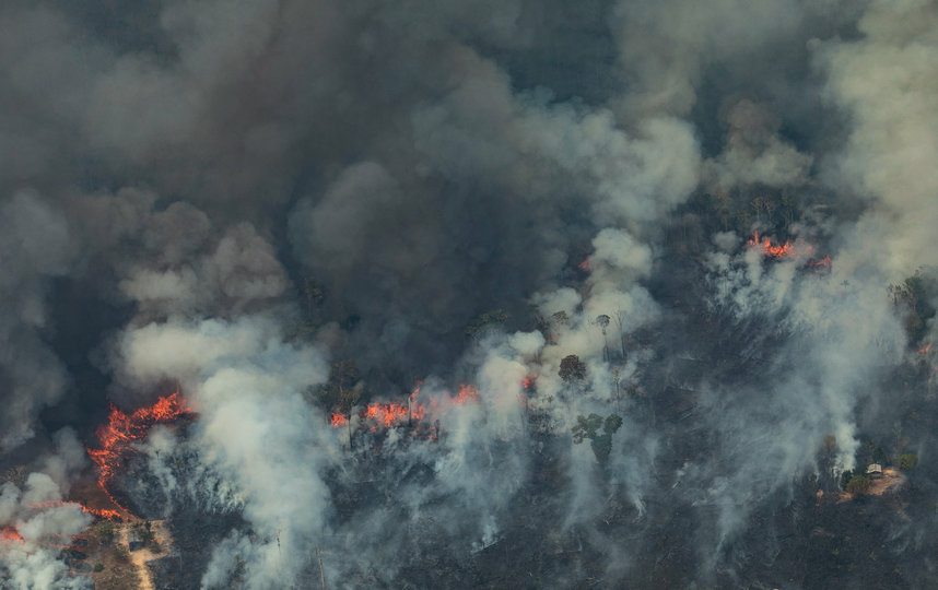 Лесные пожары в Бразилии достигли рекордных масштабов. Фото AFP
