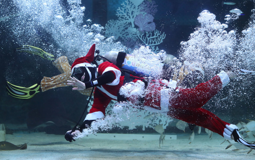 На днях в Сеуле прошло подводное шоу, посвящённое Рождеству. Фото Getty