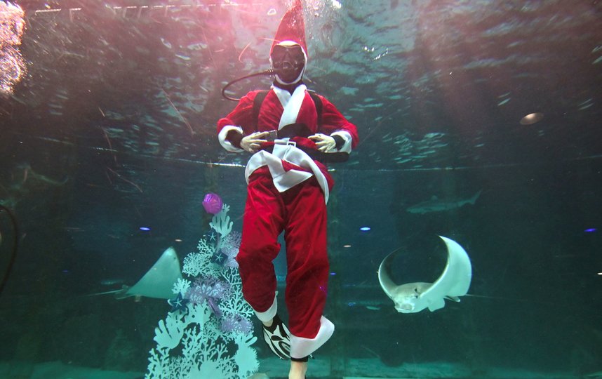 На днях в Сеуле прошло подводное шоу, посвящённое Рождеству. Фото AFP