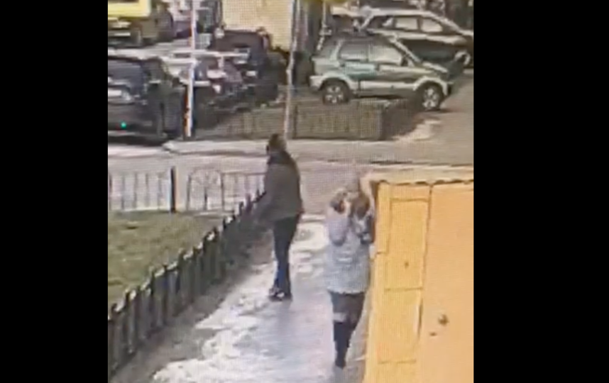 Скриншот видео МВД РФ по Санкт-Петербургу и Ленобласти. 