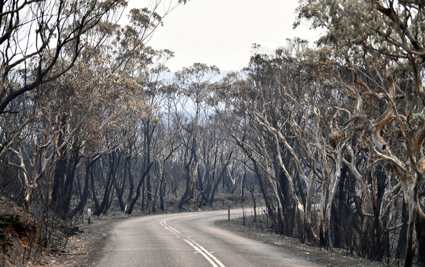 В Австралии побит температурный рекорд. Фото AFP