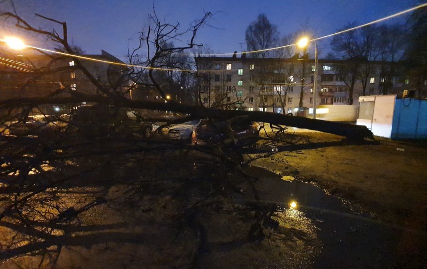 Фото последствий урагана в Петербурге. Фото https://vk.com/spb_today, vk.com