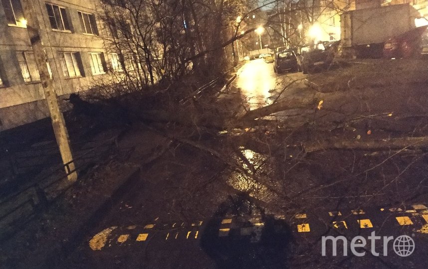 В питере прошел ураган. Ураган в Петербурге. Ураган Петербург 1998. Ураган в СПБ. Ураган в Петербурге сегодня.