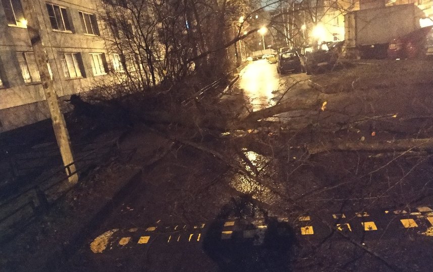 Фото последствий урагана в Петербурге. Фото https://vk.com/spb_today, vk.com