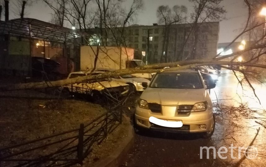 Фото последствий урагана в Петербурге. Фото https://t.me/Megapolisonline, "Metro"