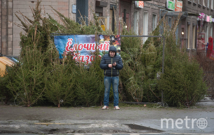Будет ли в этом году спрос на ёлки ажиотажным, покажут последние предновогодние дни. Фото Святослав Акимов, "Metro"