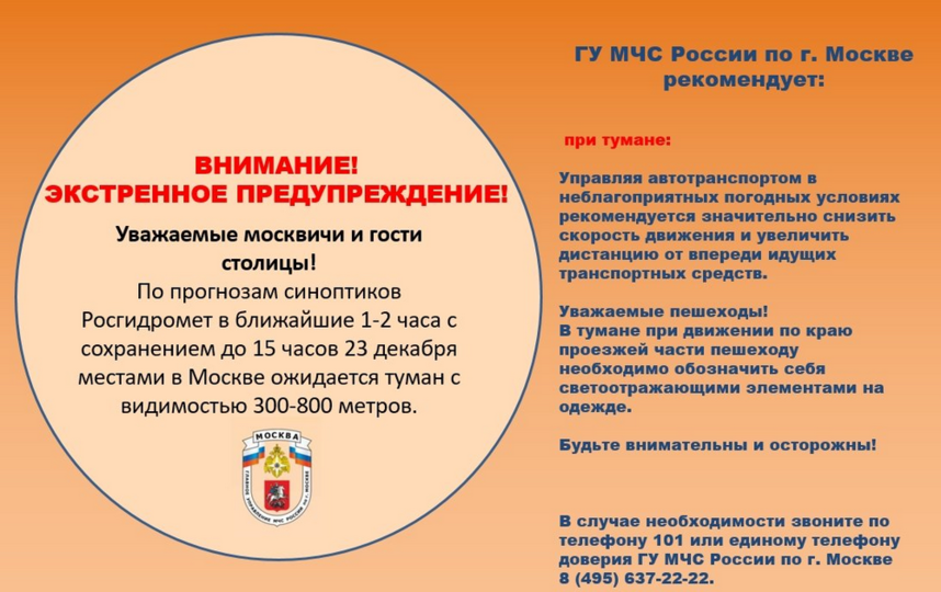 МЧС предупредило москвичей о тумане. Фото https://moscow.mchs.ru