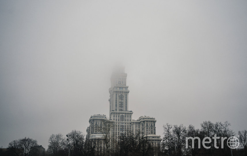 Синоптик назвал декабрь 2019 года в Москве самым тёплым за всю историю метеонаблюдений