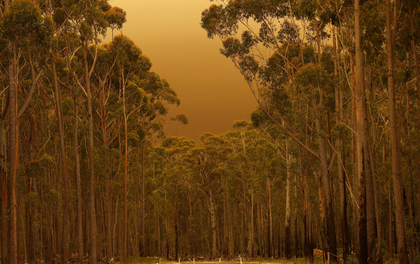 Пожары в Австралии. Фото, сделанные в период с конца декабря 2019 по 5 января 2020 года. Фото Getty