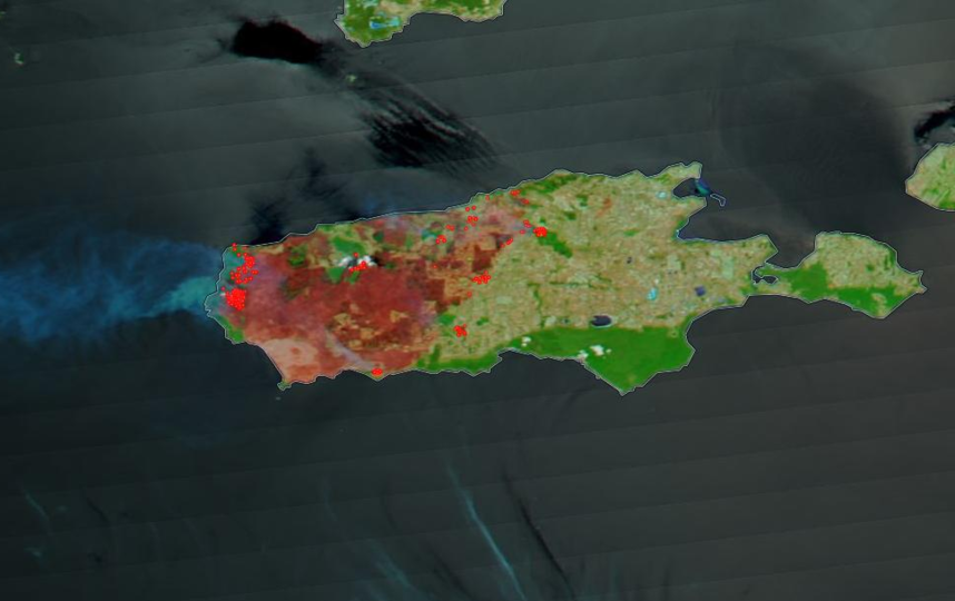В результате лесных пожаров была сожжена одна треть территории острова Кенгуру. Фото NASA Worldview