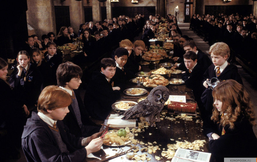 Кадр из фильма "Гарри Поттер и тайная комната". Фото "Каро-Премьер", kinopoisk.ru