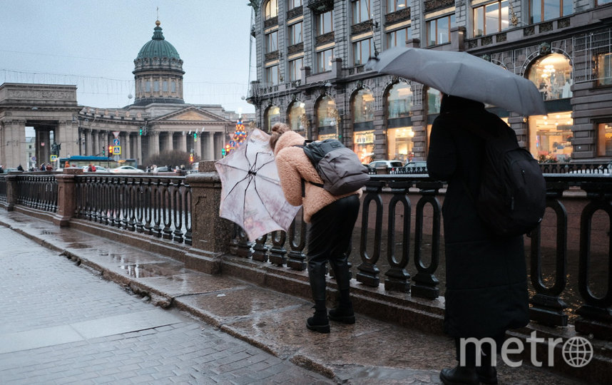 Зима в Петербурге больше похожа на весну. Фото Святослав Акимов, "Metro"