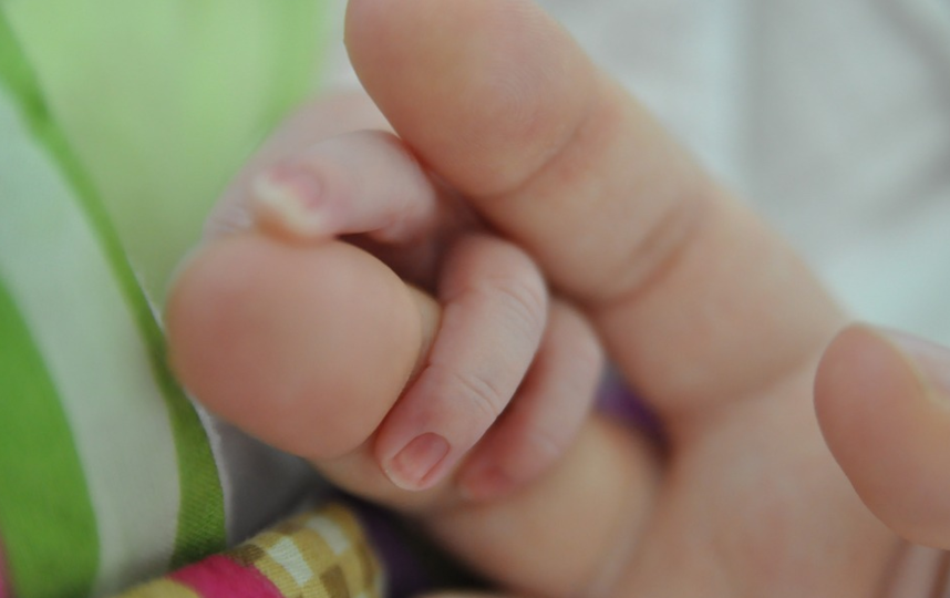 В США появился на свет ребёнок, выношенный в пересаженной от умершего донора матке. Архивное фото. Фото pixabay.com