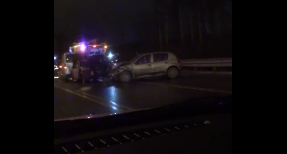 Под Петербургом насмерть сбили водителя, остановившегося на трассе (видео)