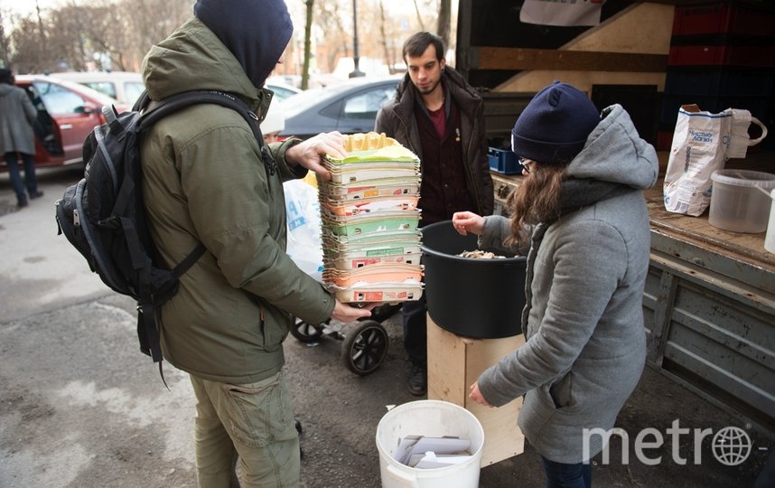 Петербуржцы приносили на переработку червям бумагу, яичную скорлупу, органику и бумажные контейнеры. Фото Святослав Акимов, "Metro"
