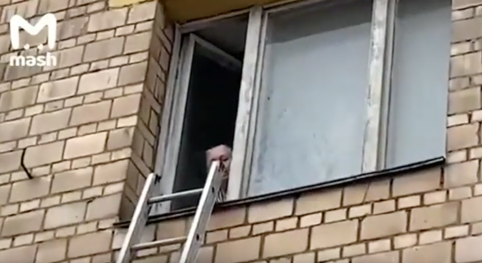 На юге Москвы пенсионерка угрожала выбросить своего трёхлетнего внука из окна. Фото скриншот youtube.com/watch?v=dJY4RP0kDVE