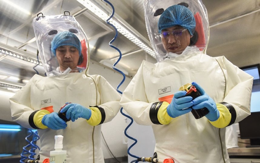 В Ухане два года назад была открыта лаборатория по работе с самыми опасными в мире вирусами. Фото Wuhan National Biosafety Laboratory