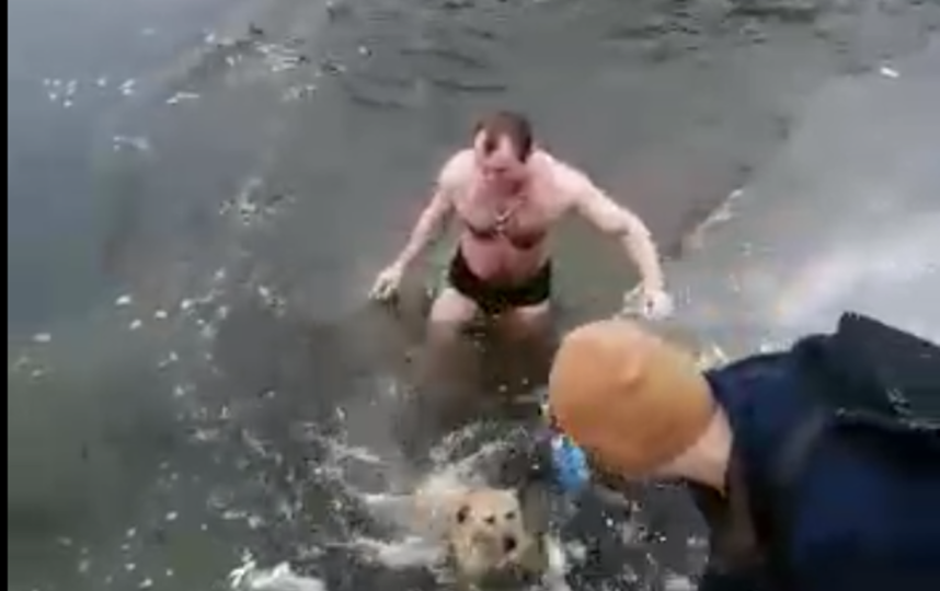 Спас собаку из ледяной воды. Парень спасает собаку из ледяной воды. Собака и женщина в ледяной воде, мужчина спасает.... Мужчина спас тонущую собаку.