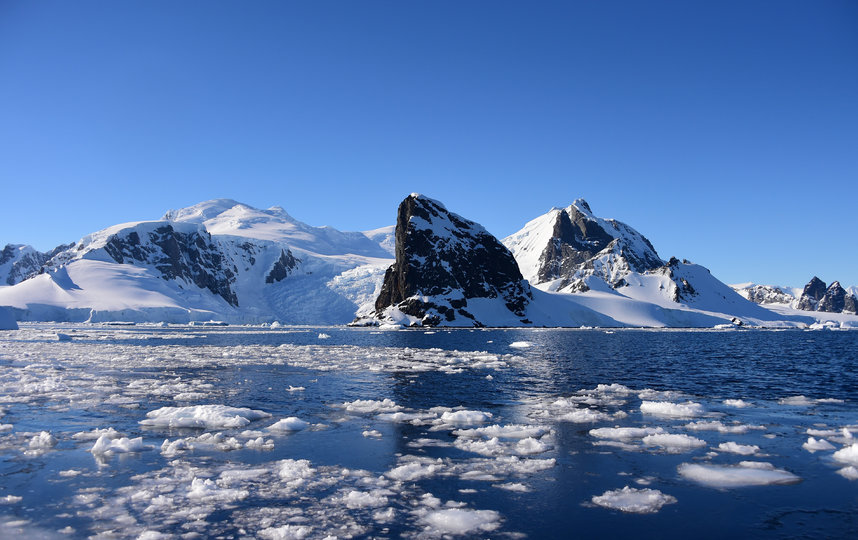 Впервые в истории Антарктиды температура воздуха поднялась выше 20 °C. Фото AFP