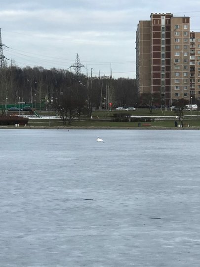 Фотографии гольяново в москве