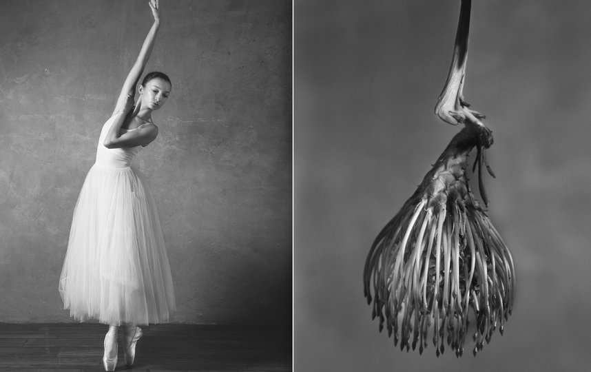 Балерина и цветы. Фото Юлия Артемьева