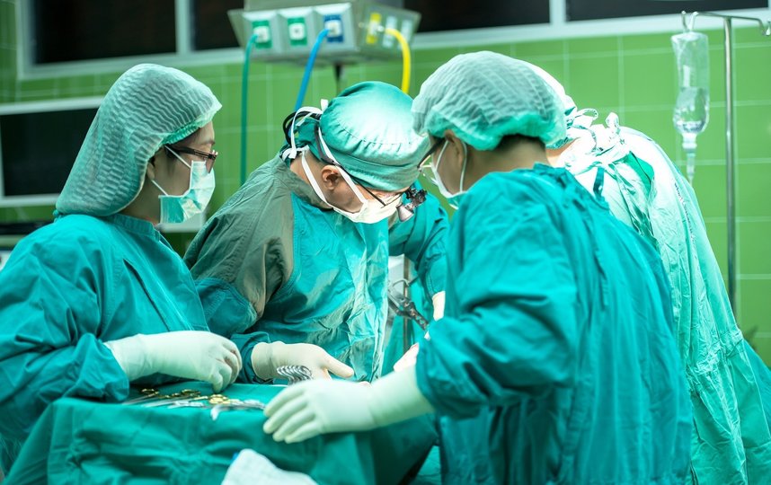 Операция по трансплантации продолжалась восемь часов. Фото Pixabay