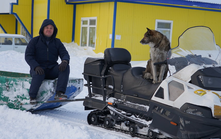 Местный транспорт. Собаки здесь повсюду и всегда ответственно относятся к охране имущества своего хозяина. Фото Павел Киреев