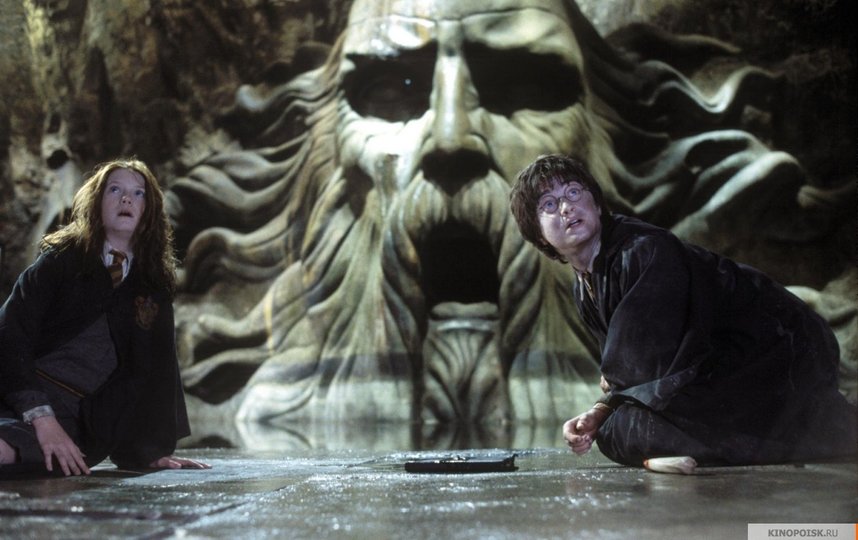 Кадр из фильма "Гарри Поттер и тайная комната". Фото "Каро-Премьер", kinopoisk.ru