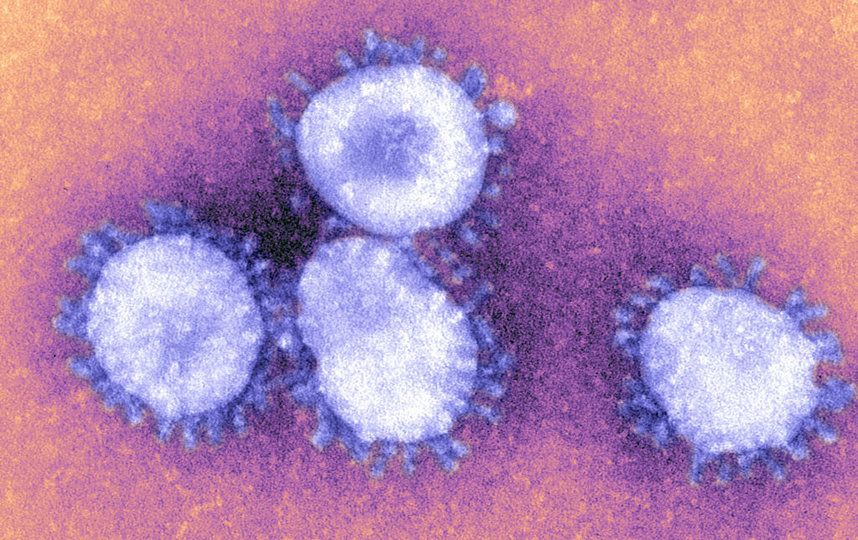 Число жертв коронавируса в Китае превысило 2,9 тысяч человек. Фото Getty