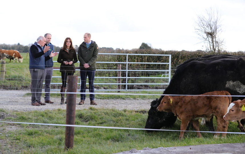 с директором фермы Эдди О'Риорданом (крайний слева) и специалистом по говядине Полом Кроссоном (второй слева). Фото Getty