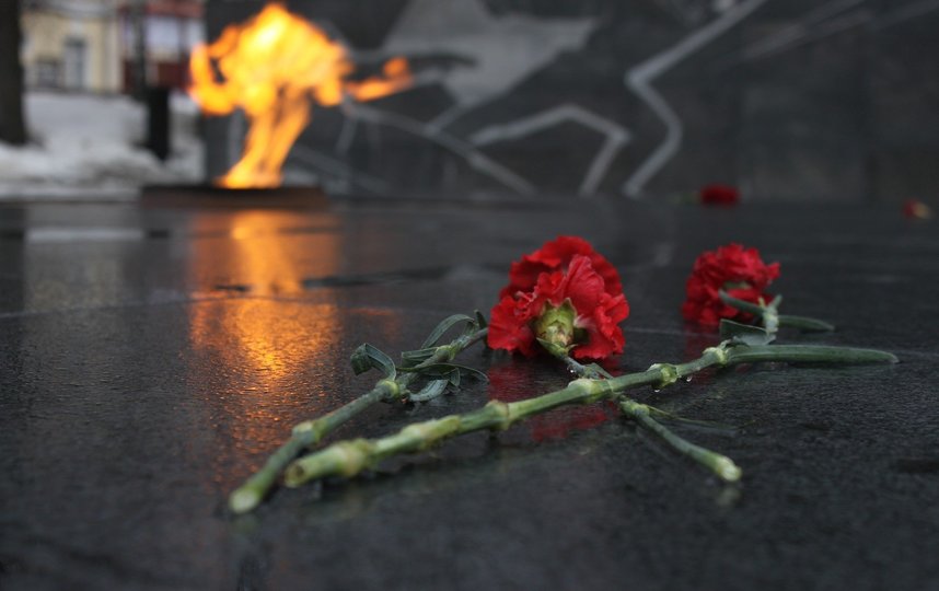 Госдума приняла закон, устанавливающий проведение общероссийской минуты молчания в День памяти и скорби 22 июня. Фото pixabay.com