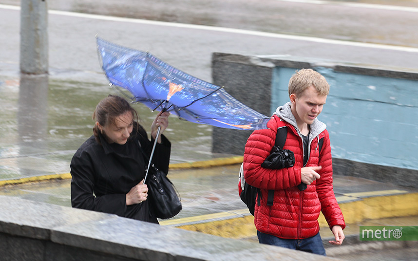 "Оранжевый" уровень погодной опасности объявлен в Москве из-за сильного ветра. Фото Василий Кузьмичёнок