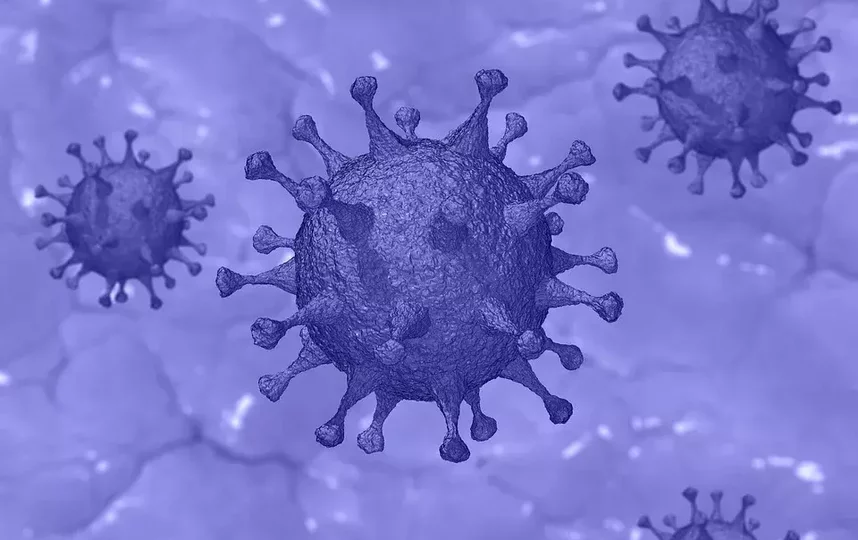 Графическое изображение вируса. Фото pixabay.com