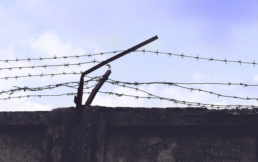 На свободу отправляют только неопасных заключённых. Фото Pixabay