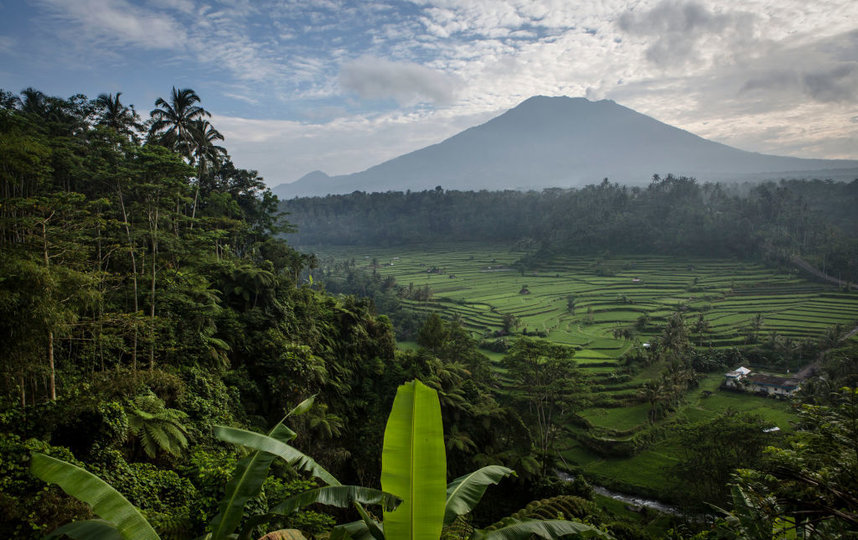 Бали. Фото Getty