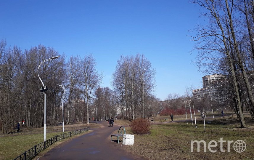 Парк Есенина в Невском районе Петербурга. Фото "Metro"