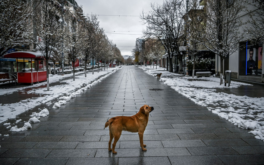 Приштина, Косово. Фото AFP