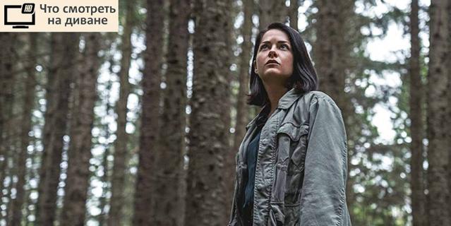 Сериал "Дублинские убийства". Сериал "Дублинские убийства".