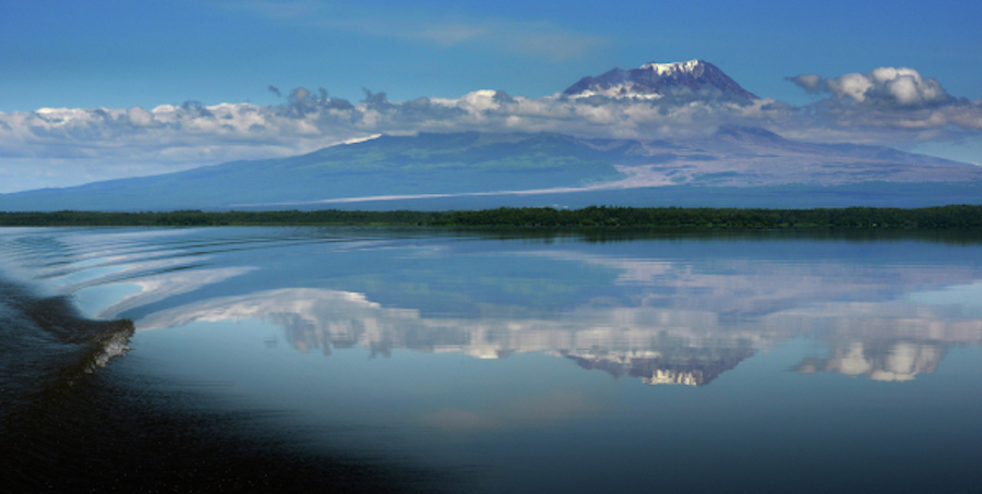 Вид на вулкан Шивелуч с берега реки Камчатка в Камчатском крае. Фото РИА Новости