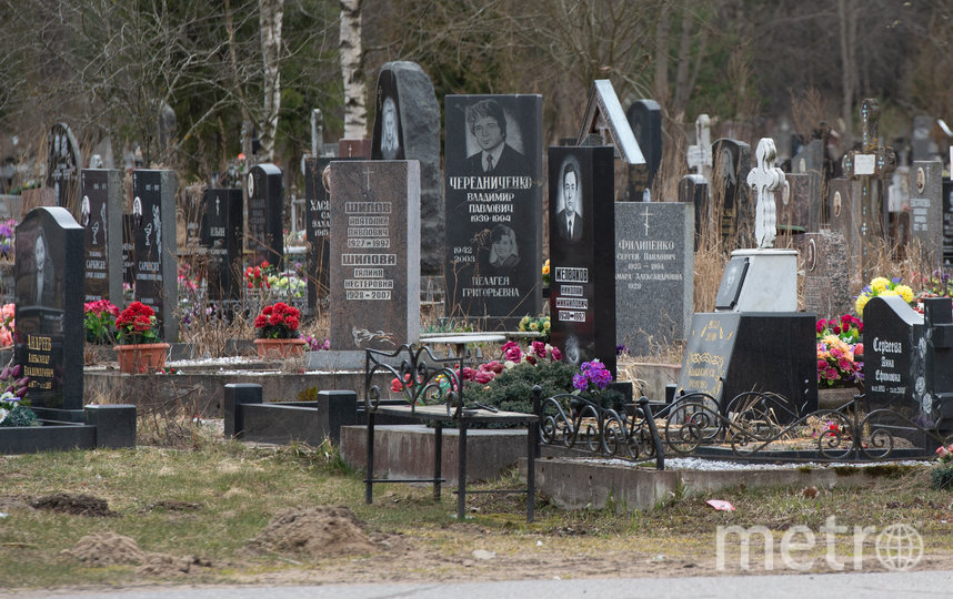 Северное кладбище в Петербурге. Фото Святослав Акимов, "Metro"