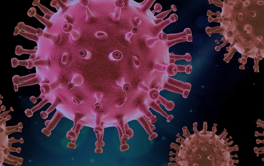 Так выглядит коронавирус. Фото pixabay
