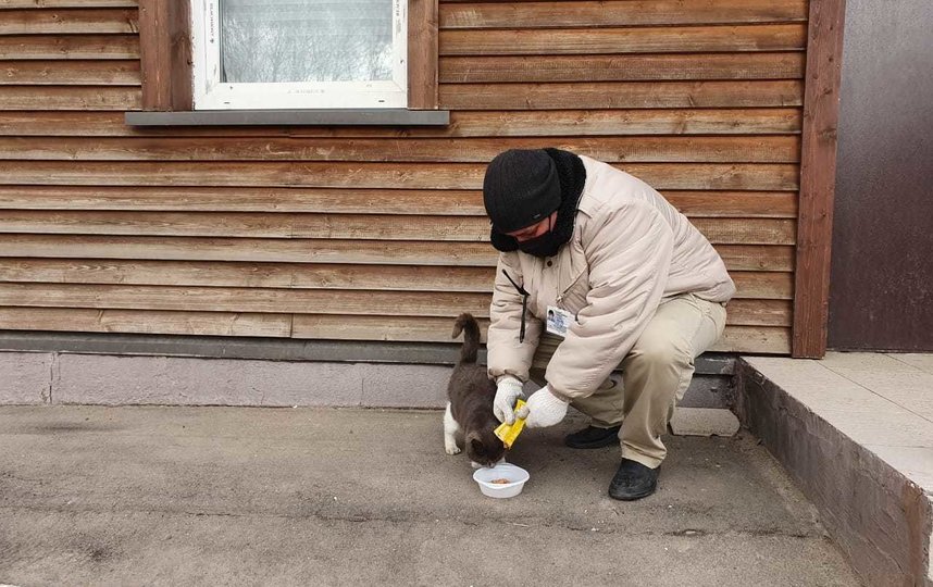 Охранник парка "Кузьминки" кормит местных кошек. Фото предоставлено Мосгорпарком