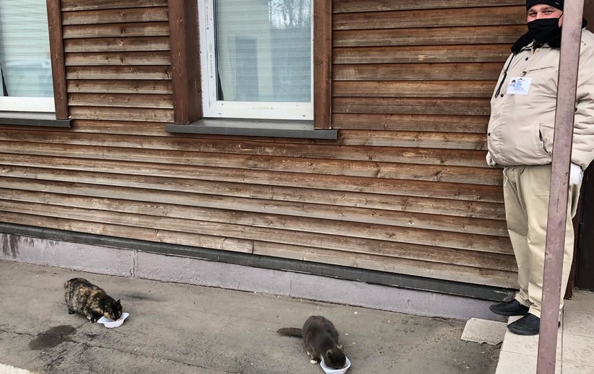 Охранник парка "Кузьминки" кормит местных кошек. Фото предоставлено Мосгорпарком