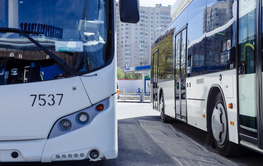 В Петербурге усилят движение автобусов: маршруты. Фото СПб ГУП "Пассажиравтотранс"