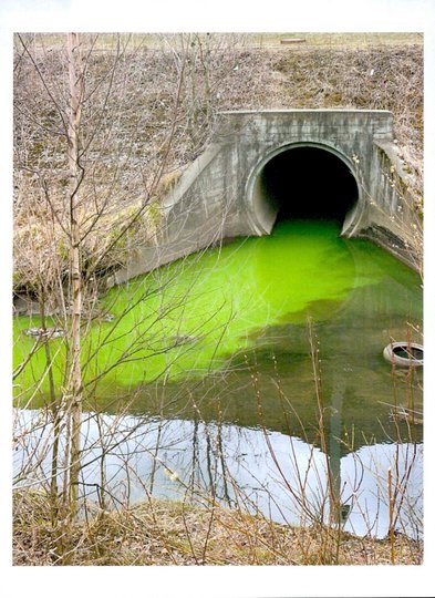Зеленая вода в Лиговском канале. Фото 78.rpn.gov.ru