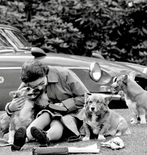 Королева Елизавета II очень любит собак. Фото Instagram @theroyalfamily