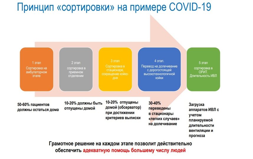 Скриншот gov.spb.ru. 
