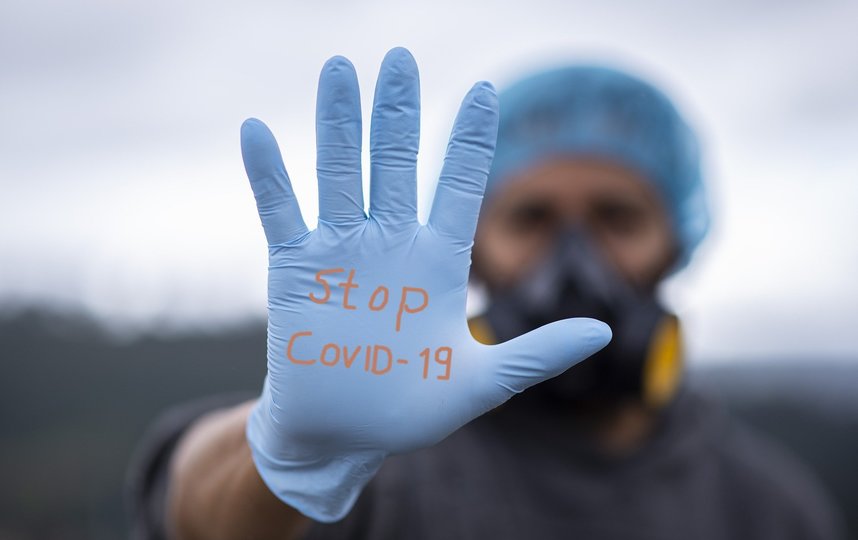 Эпидемиолог посоветовал не бояться роста числа заражений коронавирусом в России. Фото Pixabay